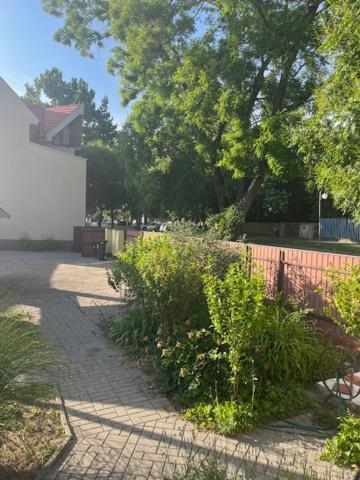 HajdúszoboszlóDyta2 Apartman公寓 外观 照片